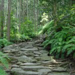 Matsumoto Pass along the Iseji