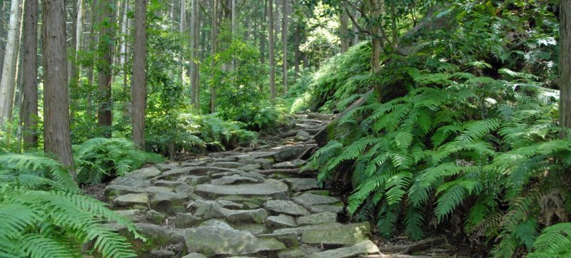 Kumano Kodo Iseji