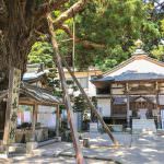 Gorakuji's (Temple 2) Cedar of Long Life and Main Hall